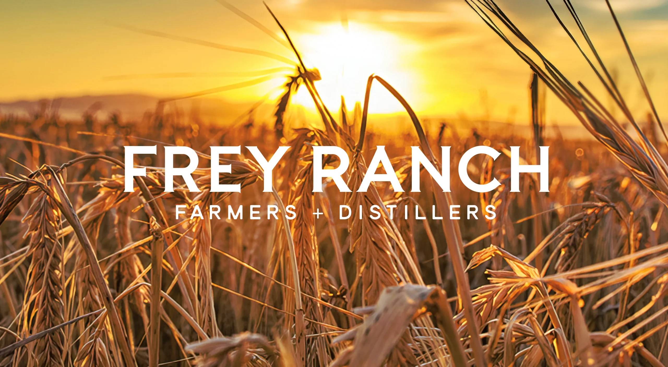 040526_freyranch_brand-design_slider_1 Frey Ranch premium bourbon whiskey brand design system by MarketBrand Studios showcasing ground-to-glass Nevada craft distillery branding, packaging design, visual identity, and trade marketing materials.
