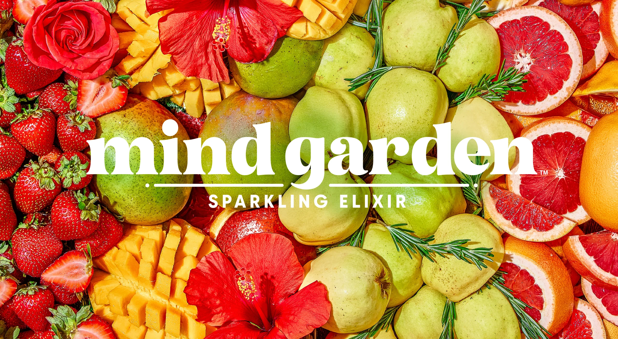 040526_mindgarden_brand-design_slider_1 Mind Garden Sparkling Elixir functional beverage brand design system by MarketBrand Studios showcasing packaging design, brand strategy, positioning, website design, and visual identity.