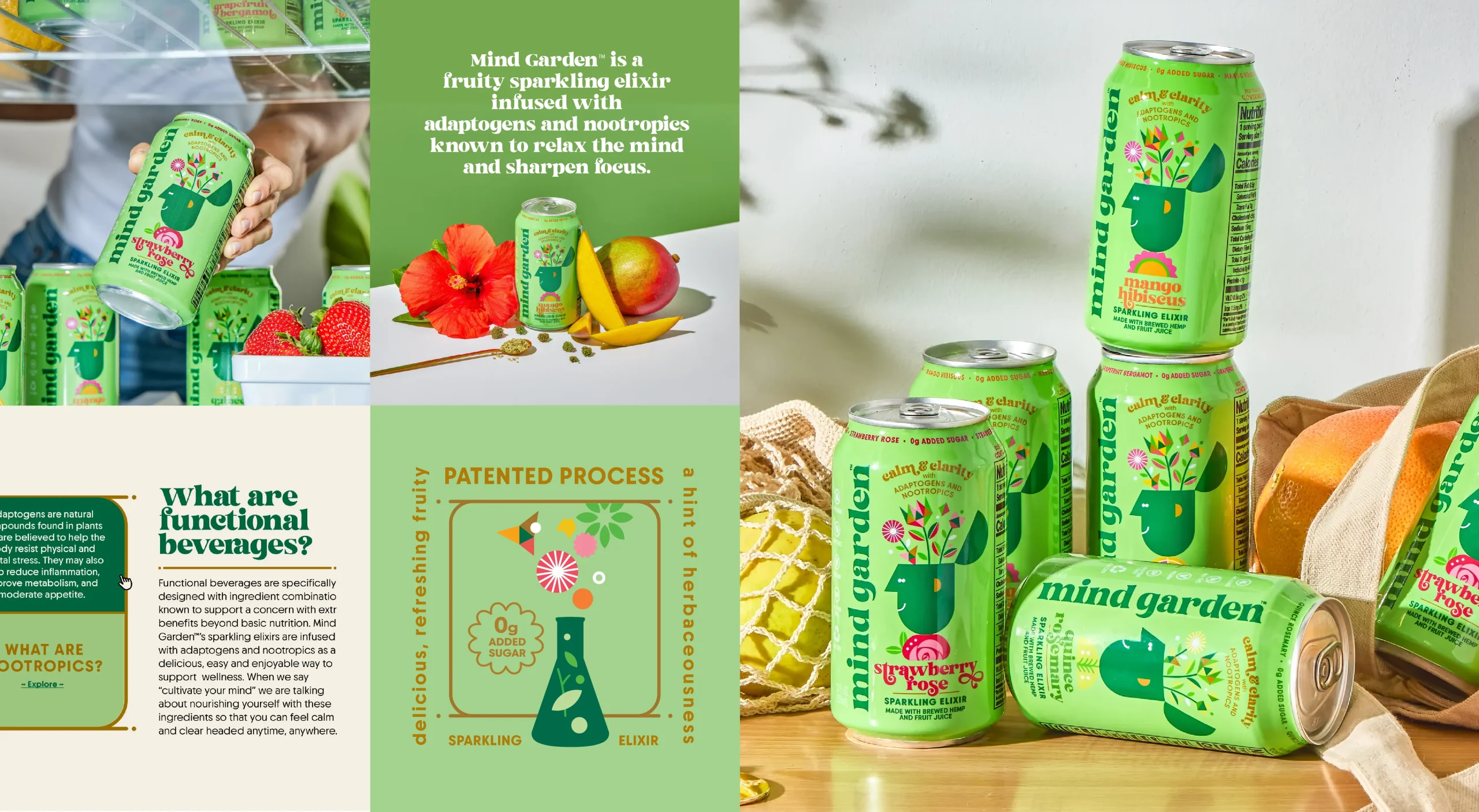Mind Garden Sparkling Elixir functional beverage brand design system featuring website design, product photography, ingredient infographic illustration, and functional beverage educational content.