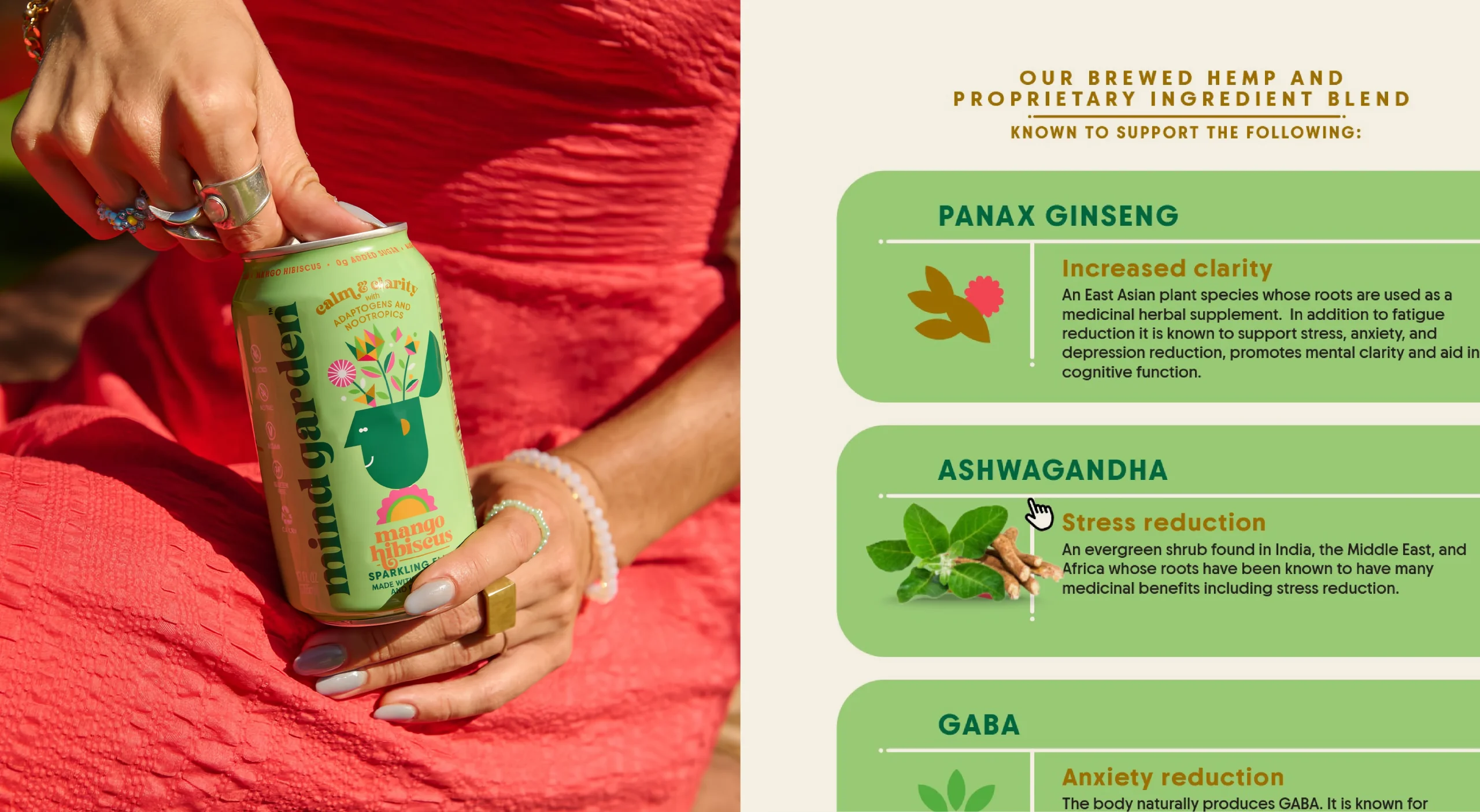 Mind Garden Sparkling Elixir functional beverage brand design system featuring package design, lifestyle photography, and proprietary ingredient blend infographic with Panax Ginseng, Ashwagandha, and GABA benefit descriptions.