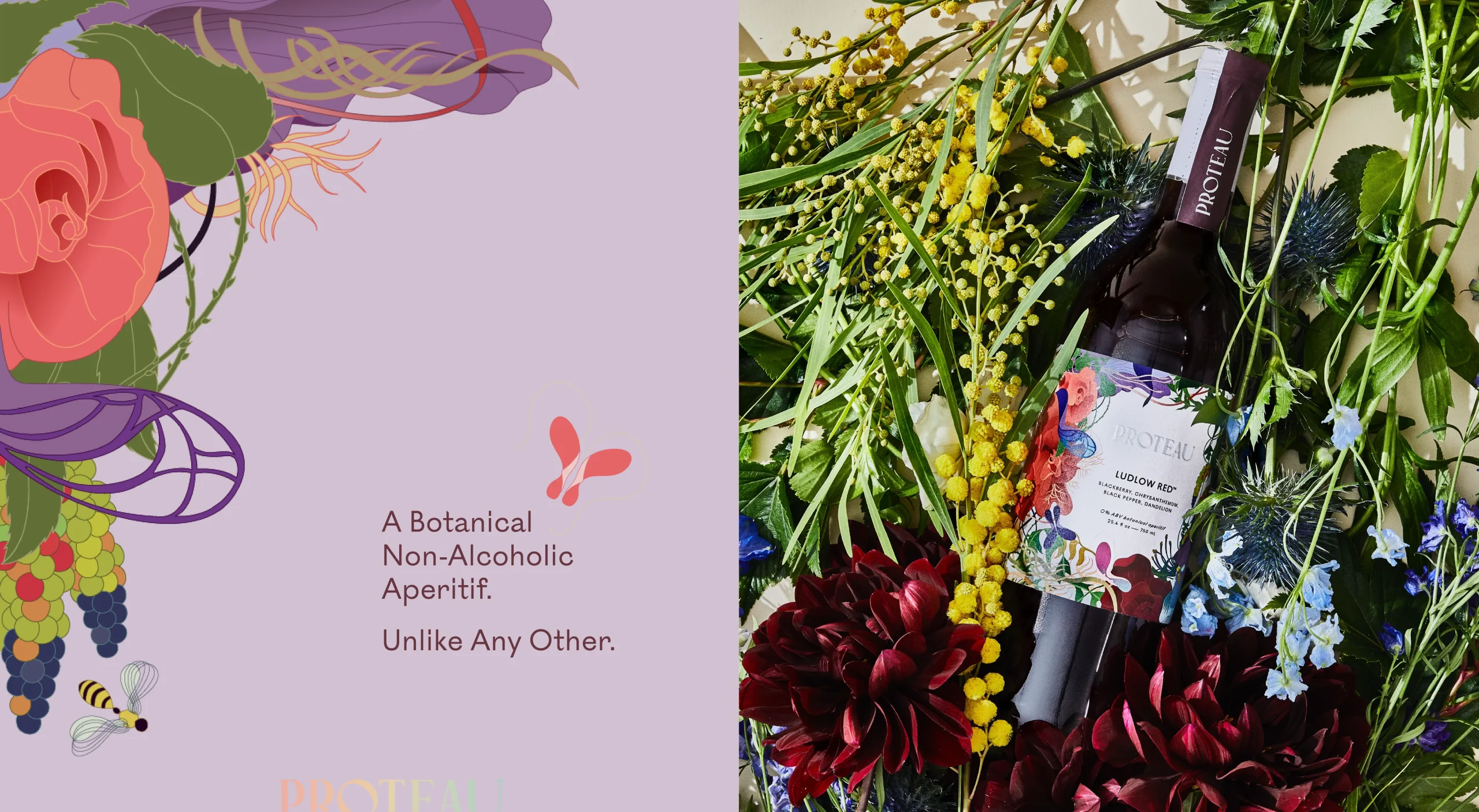 Proteau non-alcoholic botanical aperitif brand design system showcasing brand storytelling and visual identity.